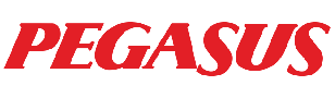 Pegasus Airline.png
